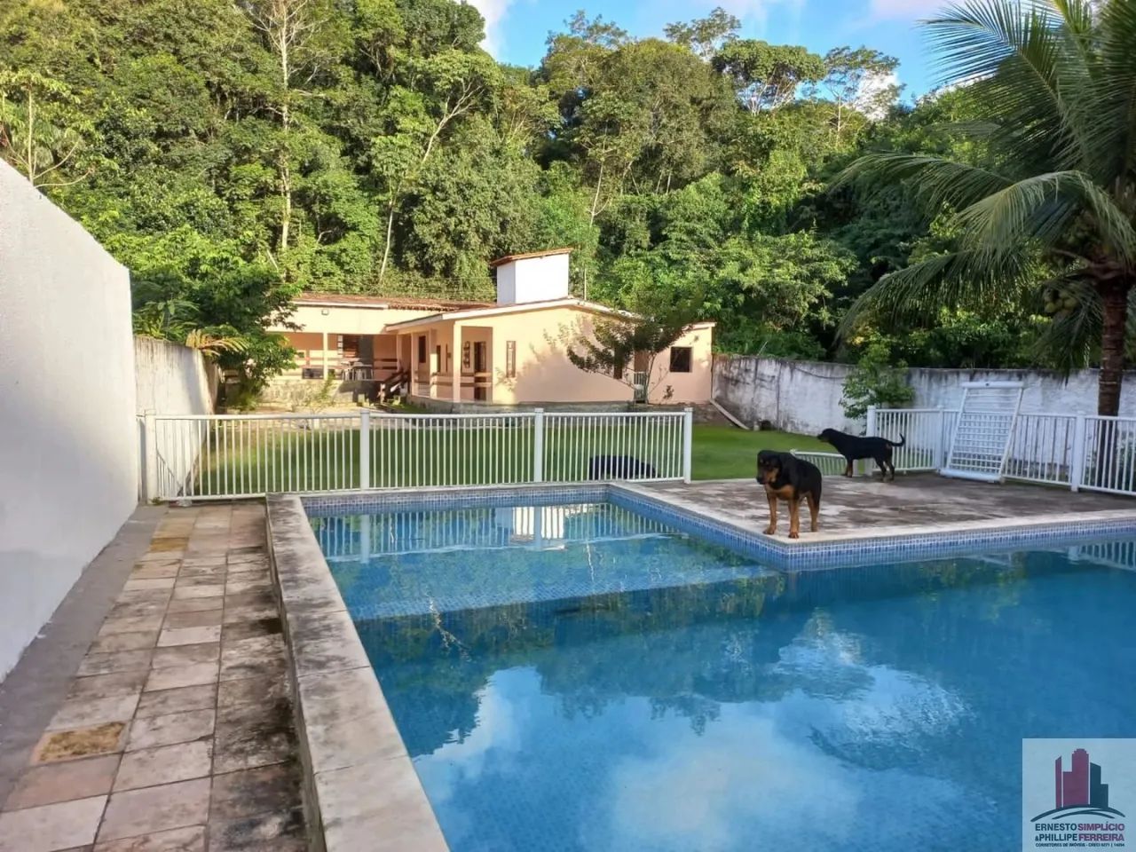 Chácara no Km 9 com 1000m² e Piscina - Foto 3