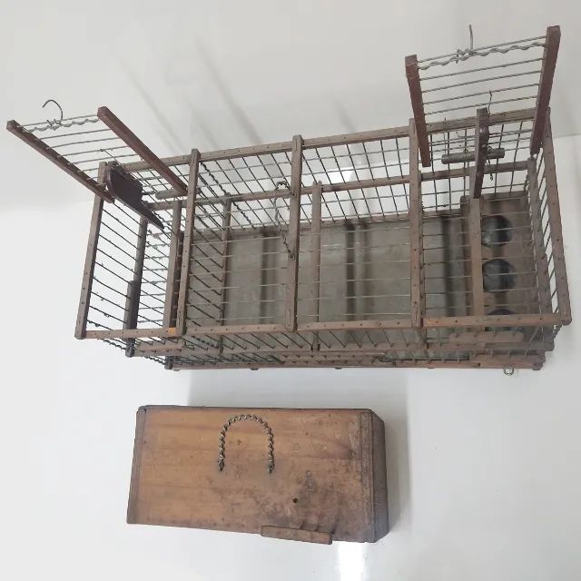 Gaiola com Alçapoes e Transporte - Foto 4