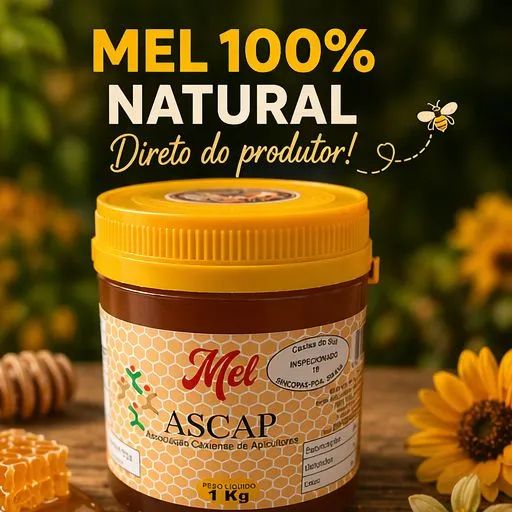 Venda de Mel - Foto 5