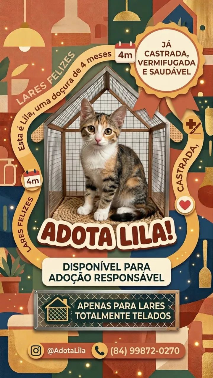 Adoção responsável 