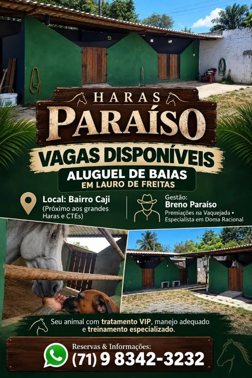 Aluguel de baias
