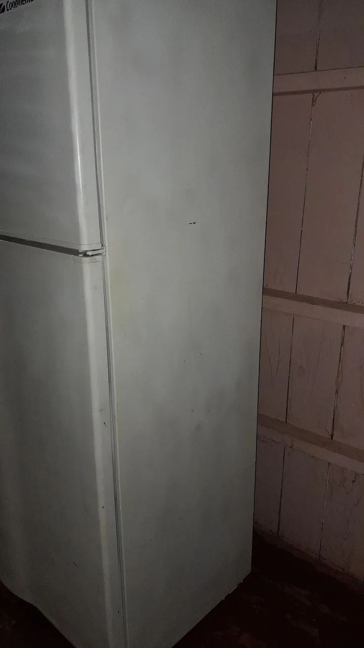 Galadeira  - Foto 2