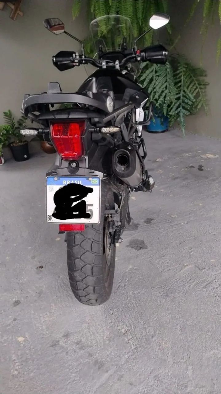 Tiger 2018 - Foto 5