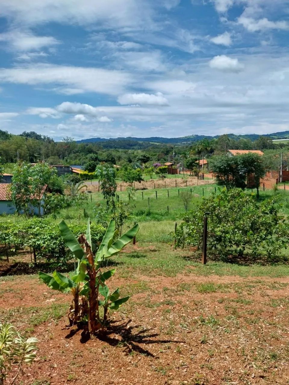 Vende -se chácara com chalé. - Foto 2