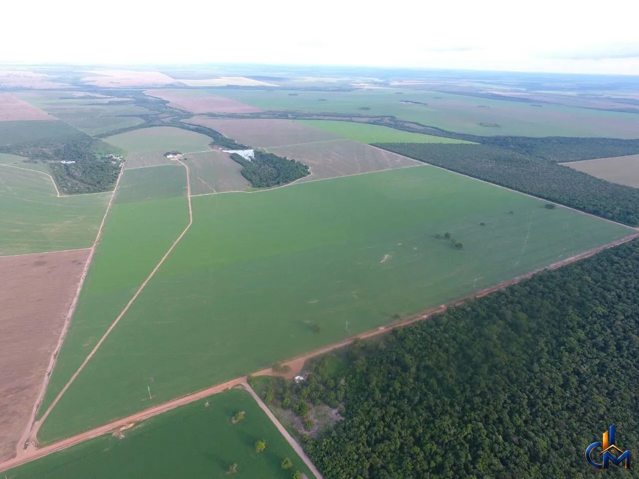 Fazenda em Querencia - Foto 4