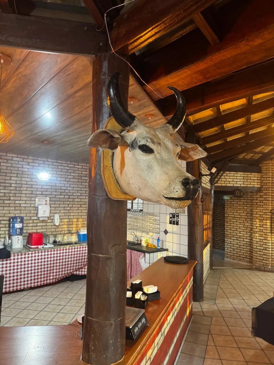 Vendo cabeça de boi decorativo  - Foto 2