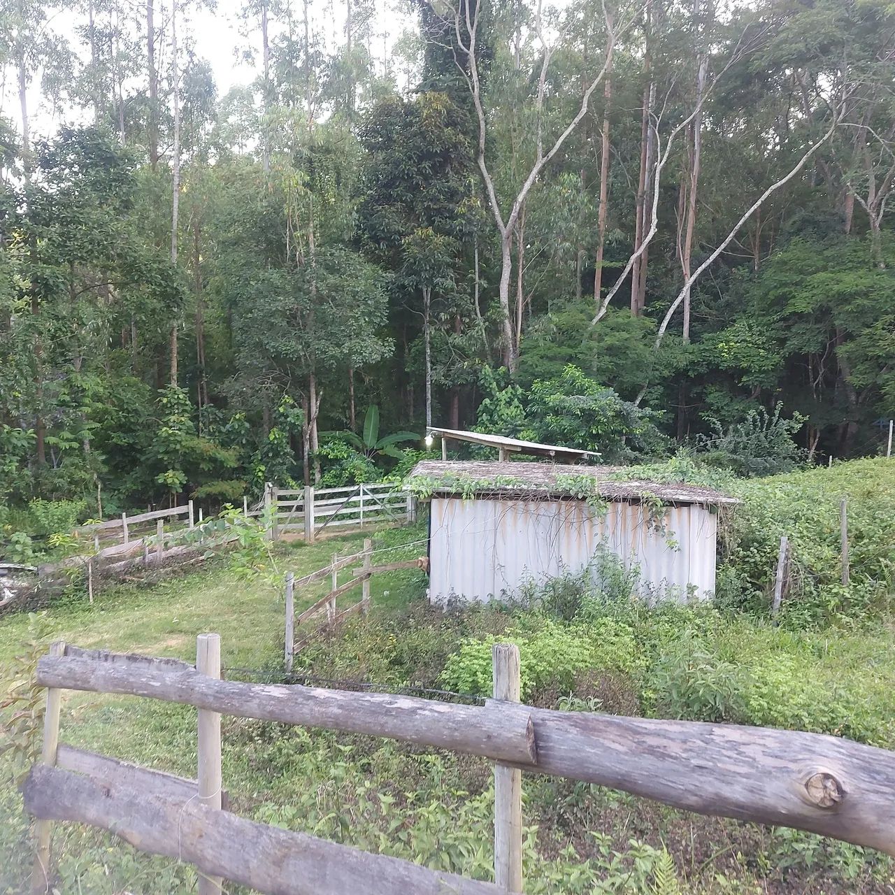 Lindo Sitio a 8 km de Aracitaba  mg - Foto 5