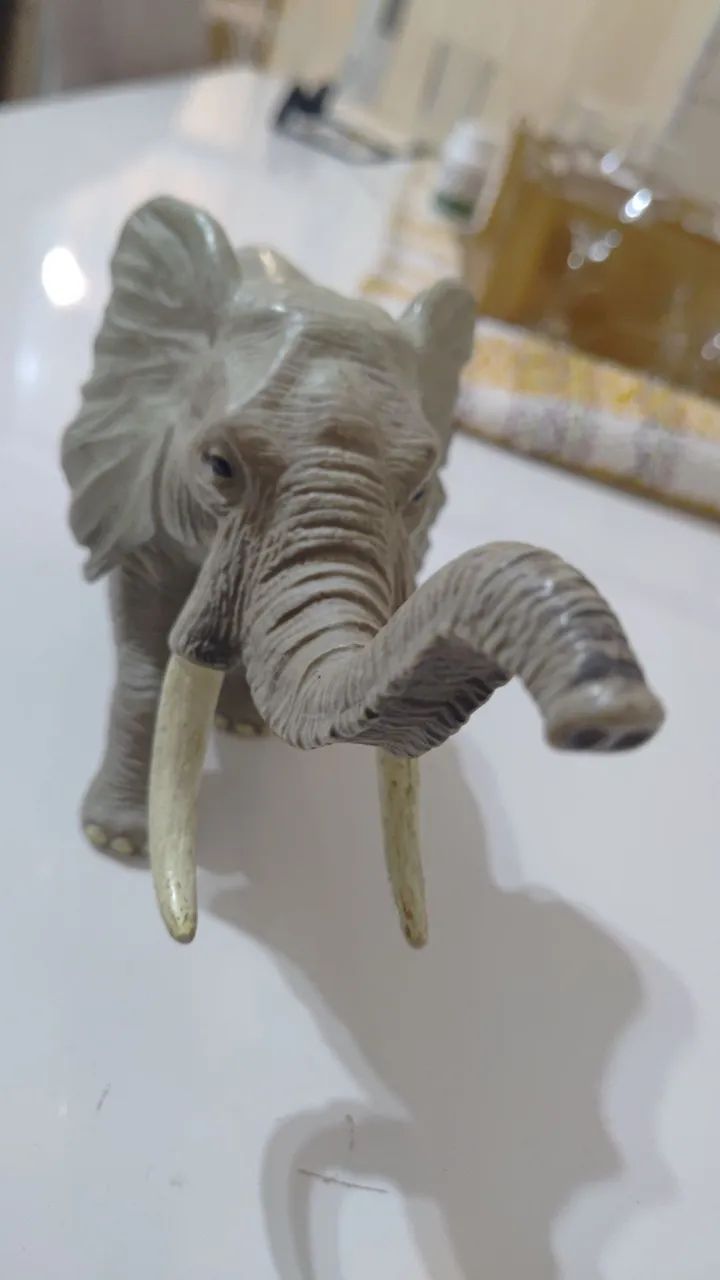 Elefante Africano Realista - Foto 3