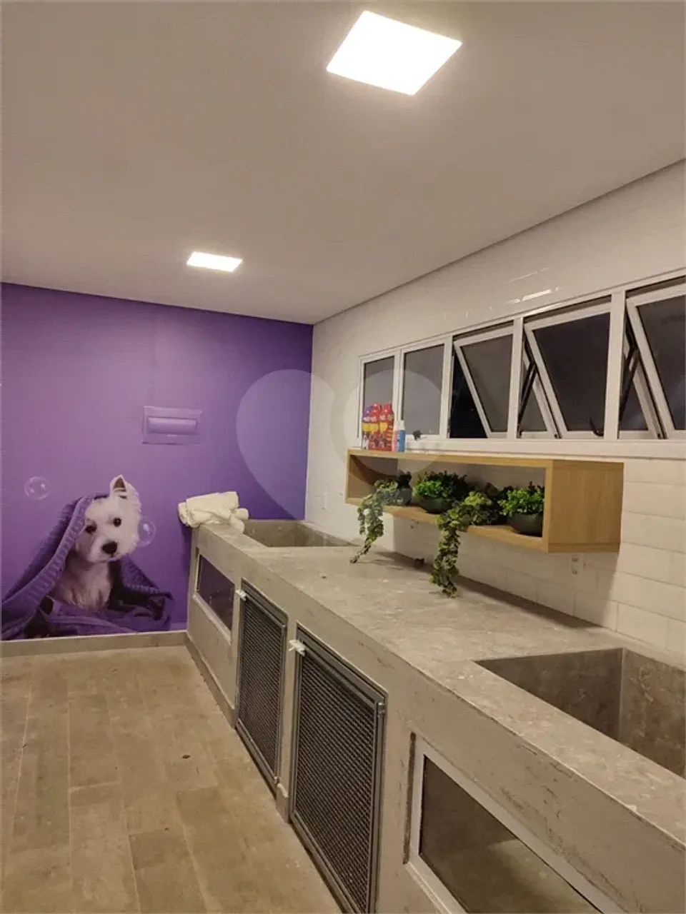 Apartamento com 2 quartos à venda em Vila centenário - SP - Foto 3