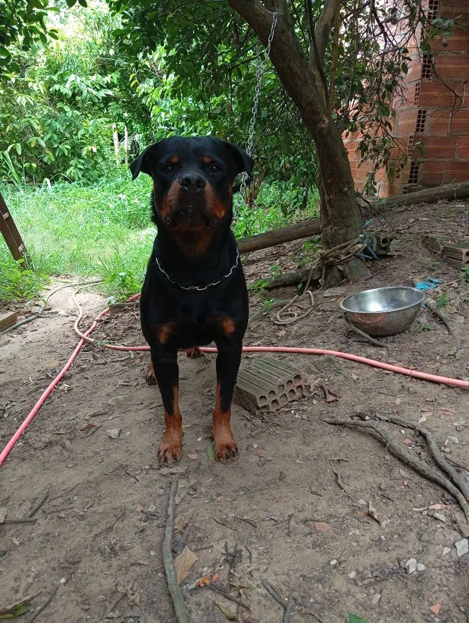 Venda - Foto 2