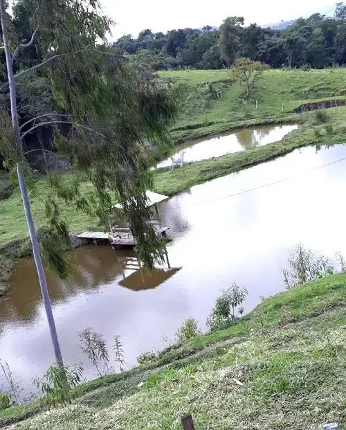 Área Rural 5 alqueires - Congonhinhas - PR - Foto 3