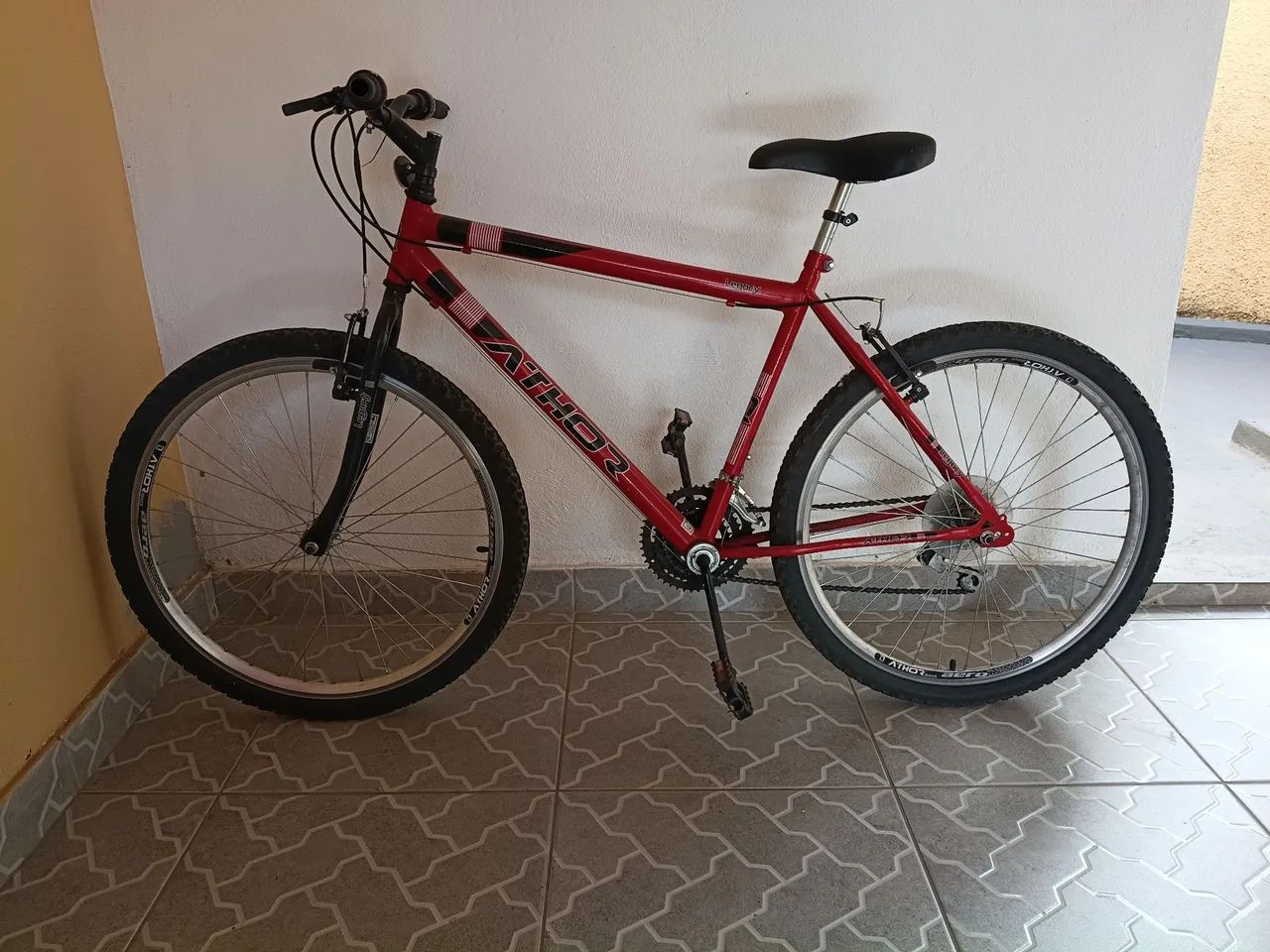 Bicicleta 