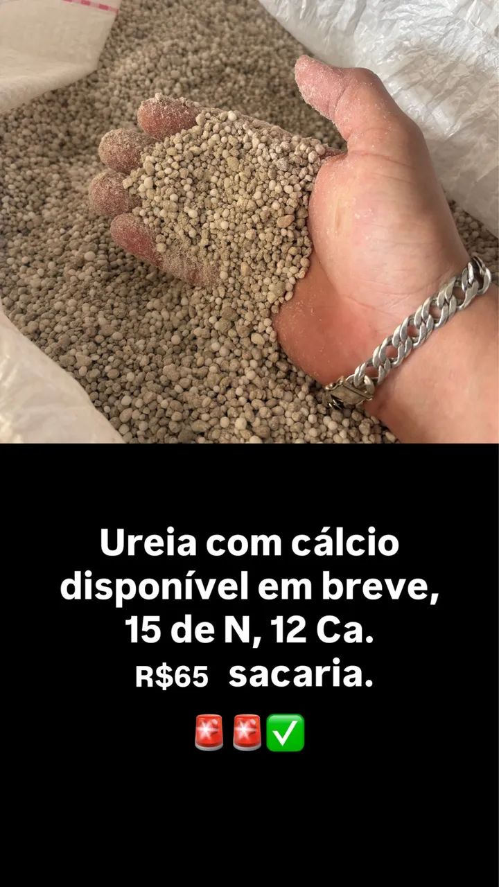 Ureia sacaria  - Foto 2
