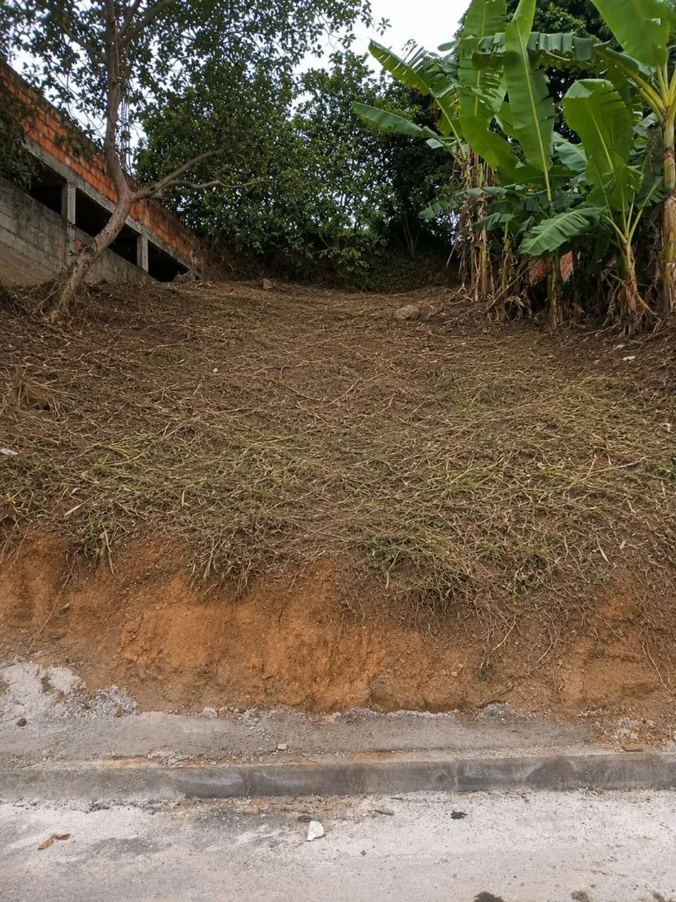 Lote em cariacica 