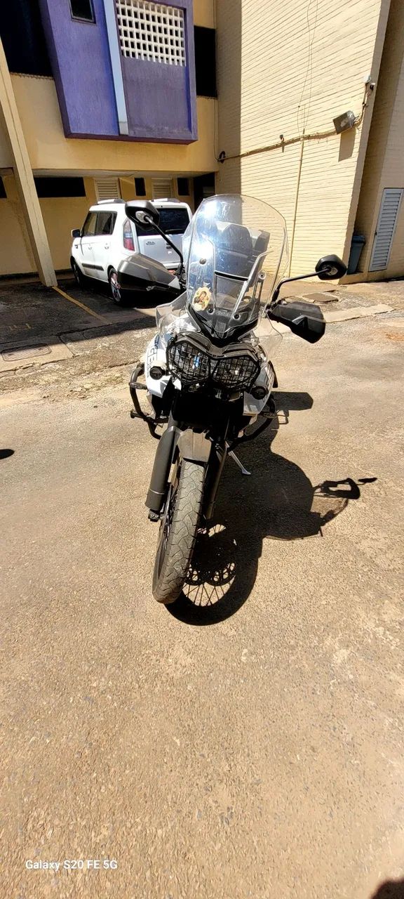 Tiger - Foto 5