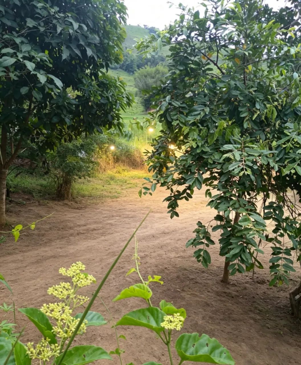 Lote Zona Rural 750m2