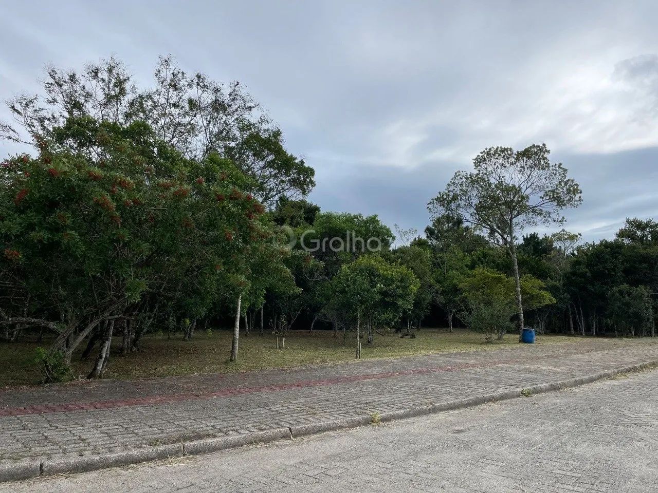 Terreno com 433 m² no bairro Ribeirão da Ilha - Foto 2