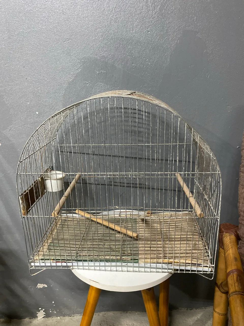 Gaiola 