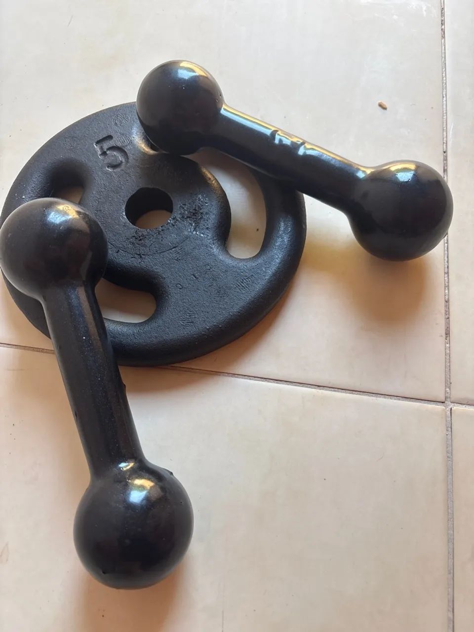 Par de halter e anilha