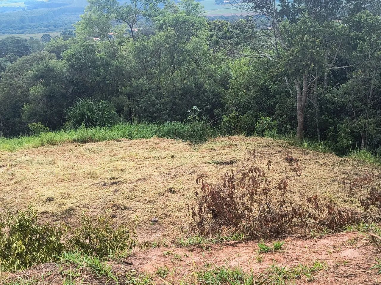Vendo chácara em salto de Pirapora  - Foto 4