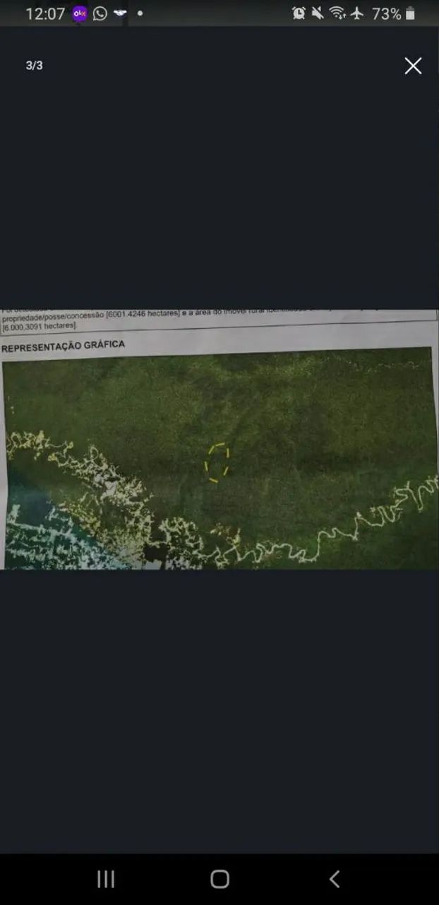 Seringal, Fazenda, Posse, Concessão, Propriedade