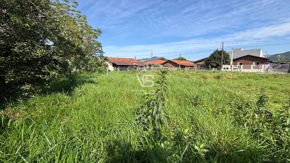 LOTE À VENDA - AREIAS | PAULO LOPES/SC - Foto 2