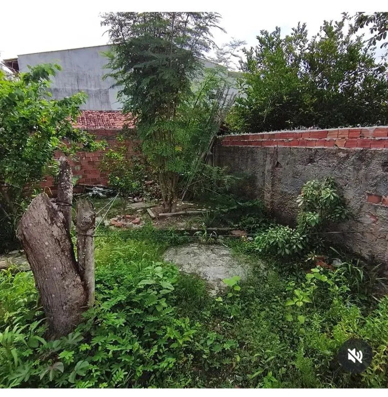 Casa à venda com garagem e quintal - Foto 2