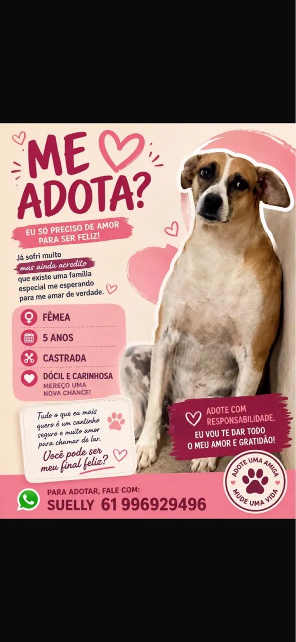 Doação 