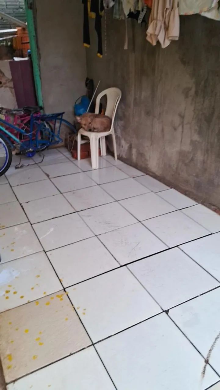 Vendo está casa