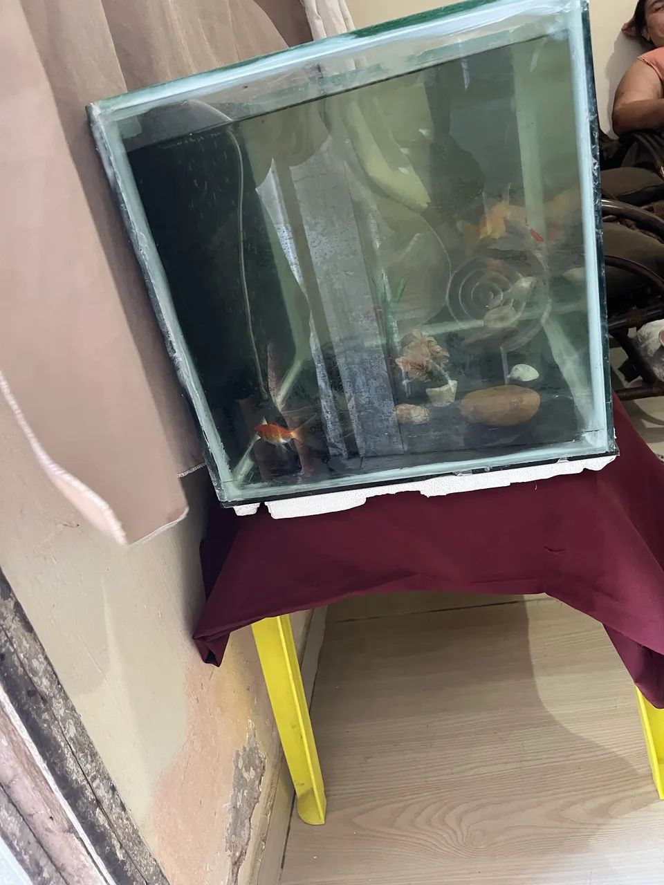 Aquário 