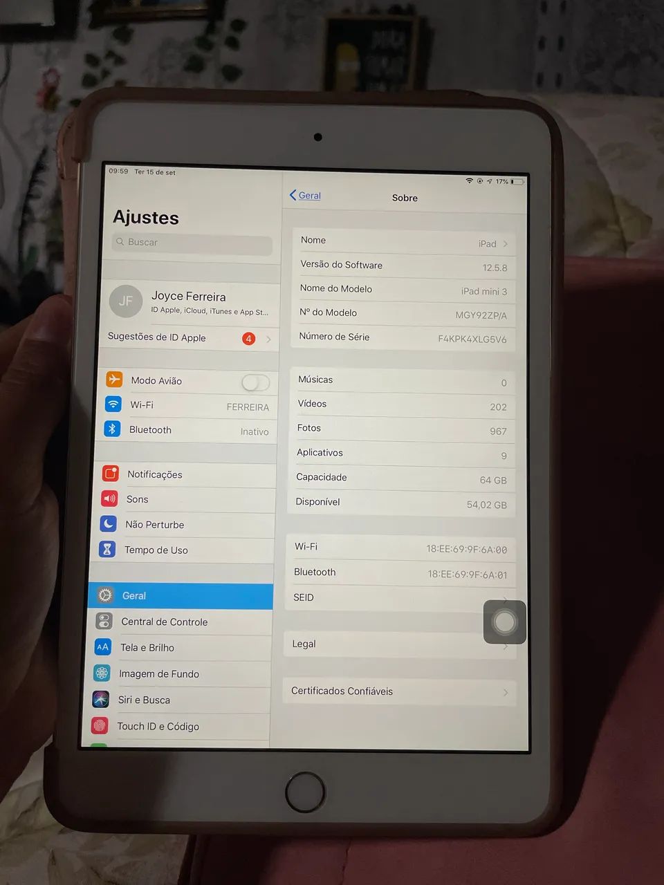 iPad mini 3