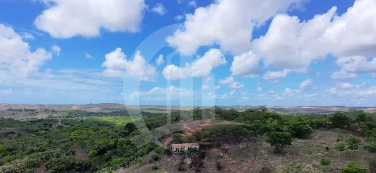 Excelente Oportunidade para Investidores: Terreno de Grande Porte no Sítio Cabrita, São Cr - Foto 5