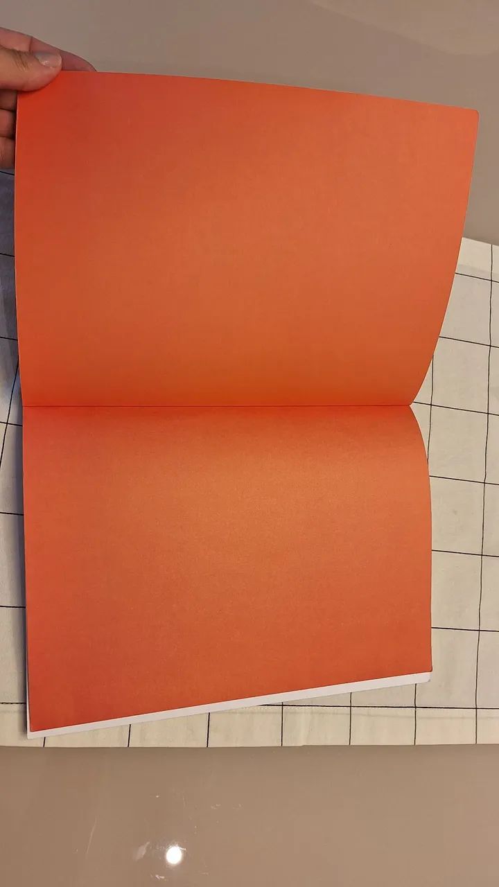 LIVRO JANE, A RAPOSA E EU - Foto 5