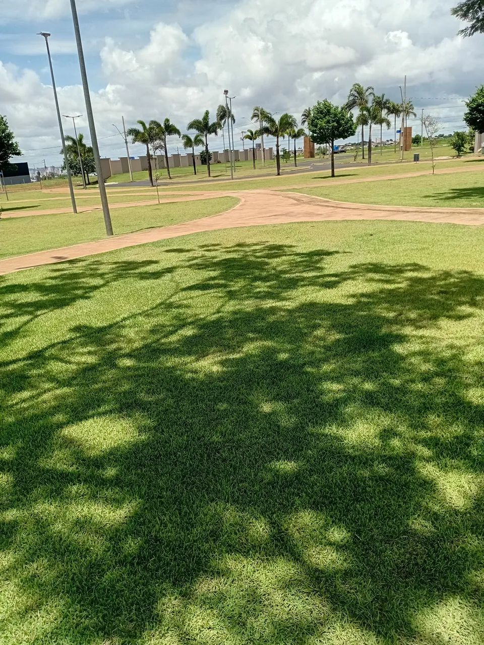 Jardineiro  - Foto 5