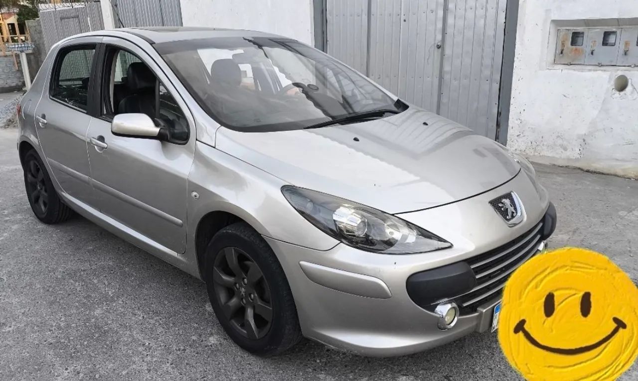 Peugeot 307 2010