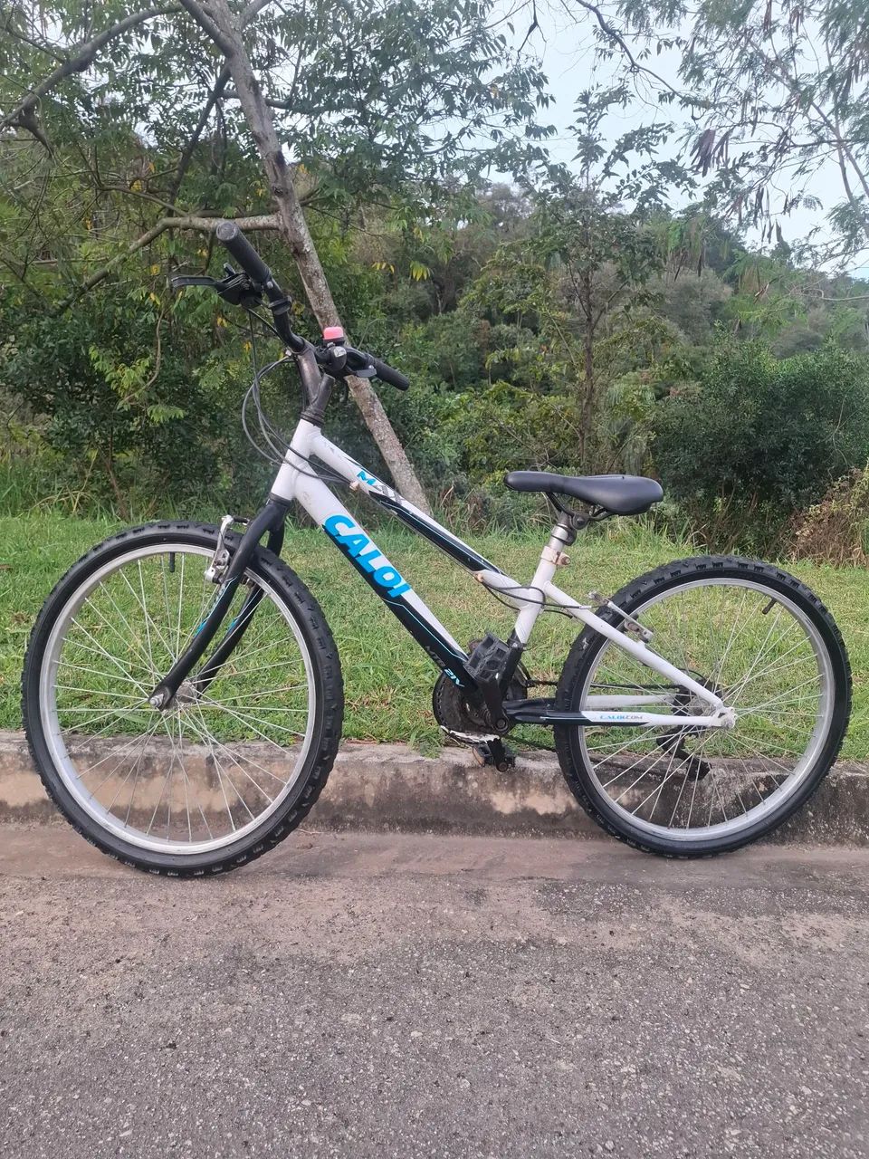 CALOI ARO 24  - Foto 5