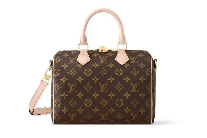 Bolsa Louis vuitton