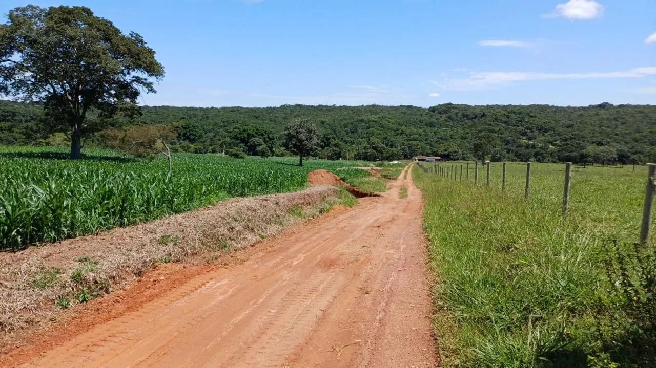 Fazenda de Crominia - Foto 3