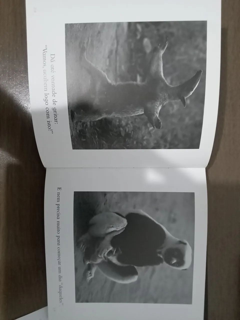 Livro: Um Dia "DAQUELES " - Foto 3
