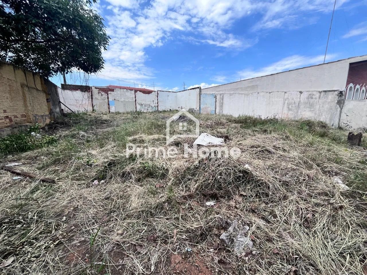 terreno - Jardim Eulina - Campinas - Foto 5