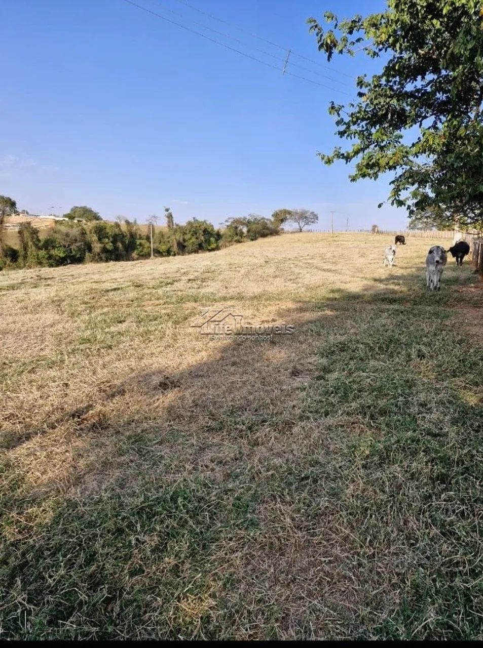 Area estratégica a venda em Monte Mor SP - Foto 4