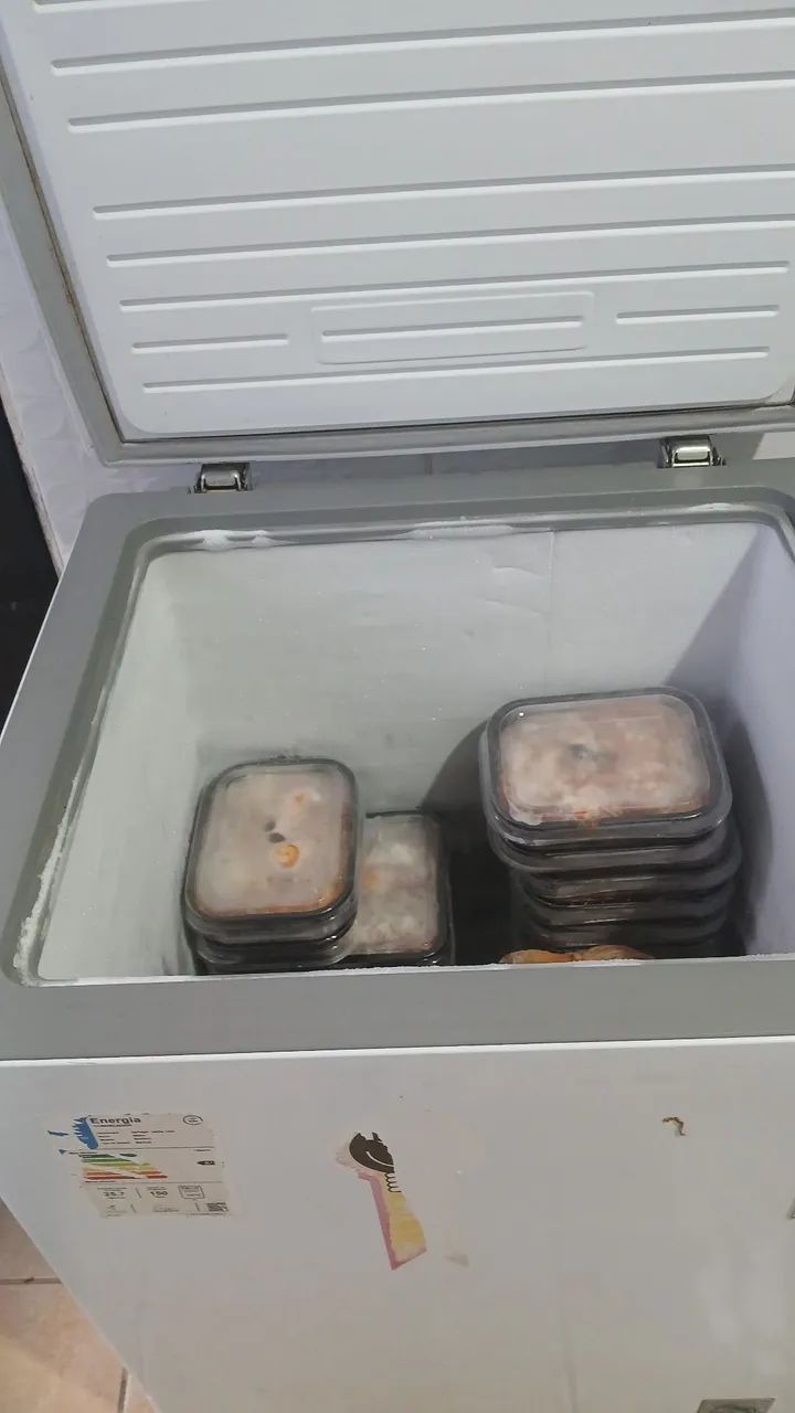 Frezer 110 litros - Foto 4