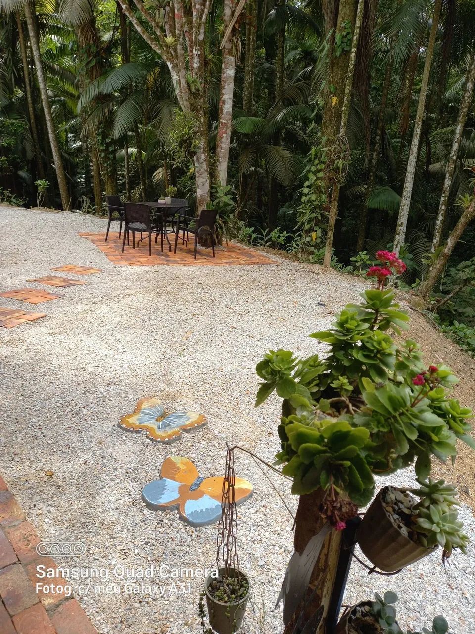 Vendo sitio porteira fechada . - Foto 4