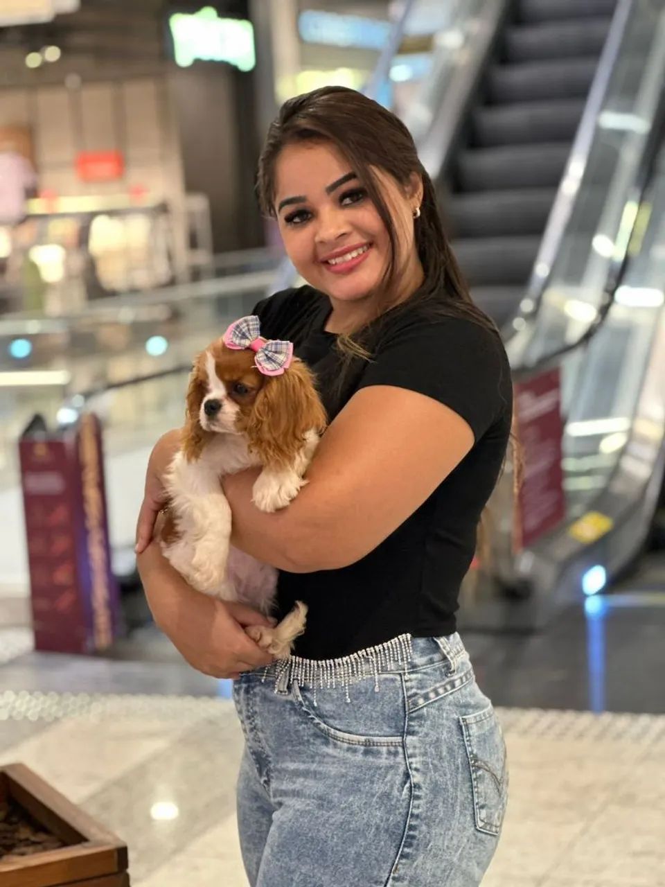 Cavalier King machinhos com 48 dias