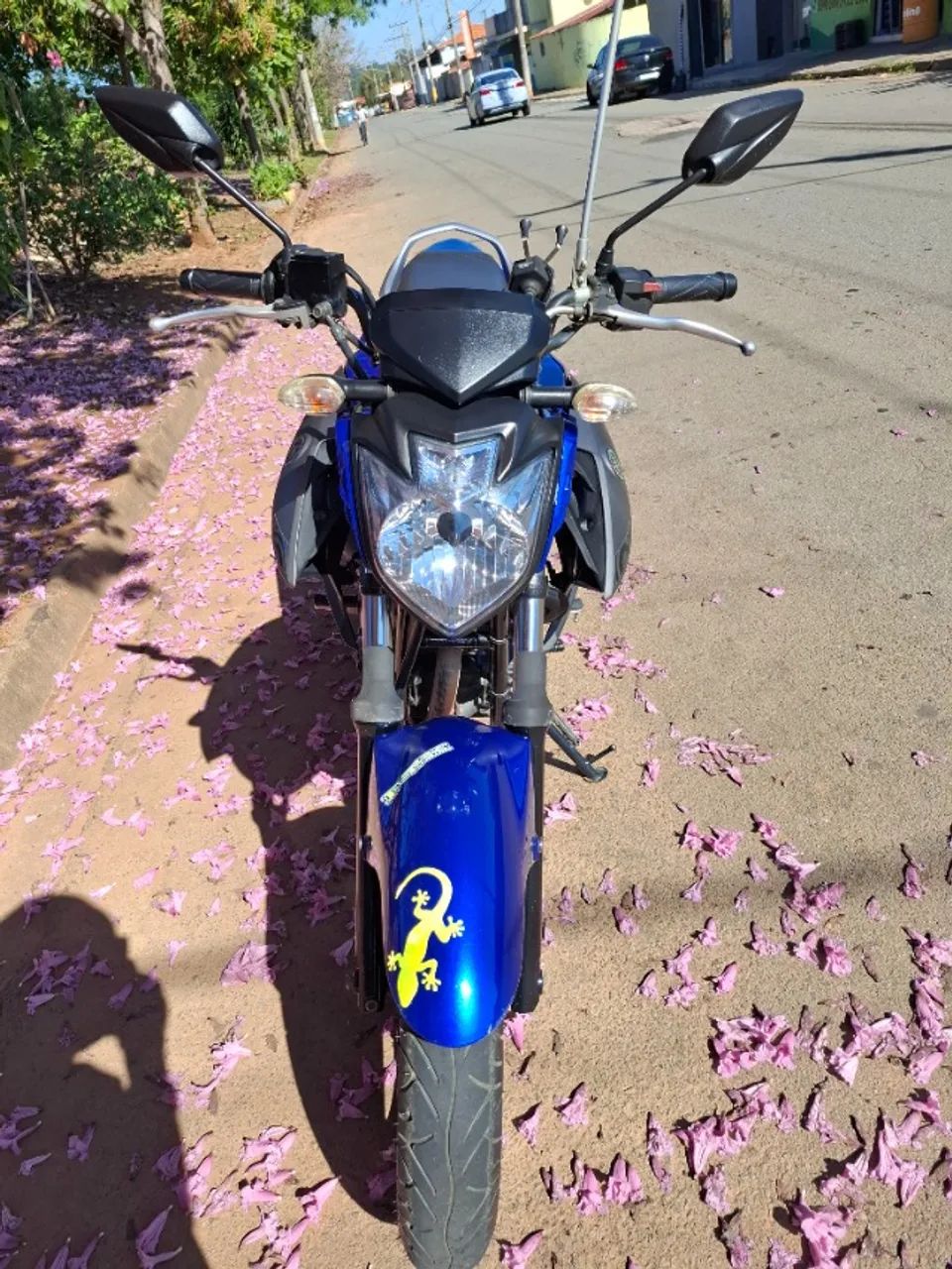 Fazer 250 versão limitada bem conservada  - Foto 2
