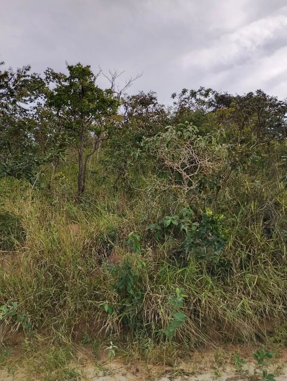 Terreno em Juatuba  - Foto 3