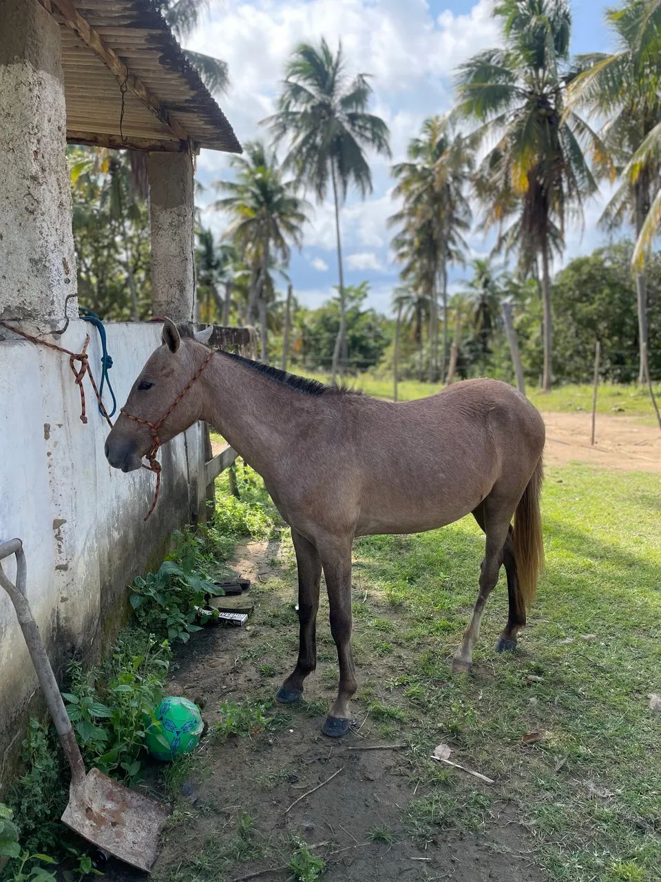 Vendo e troco  - Foto 2