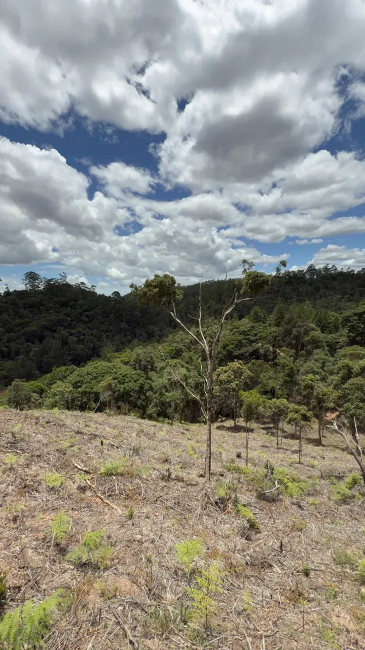 Vendo excelentes terrenos em Pedra Azul - Foto 3