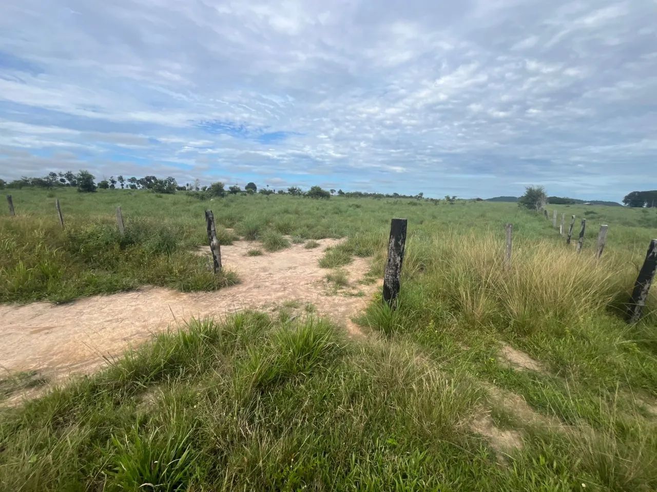 Vende-se fazenda  - Foto 5