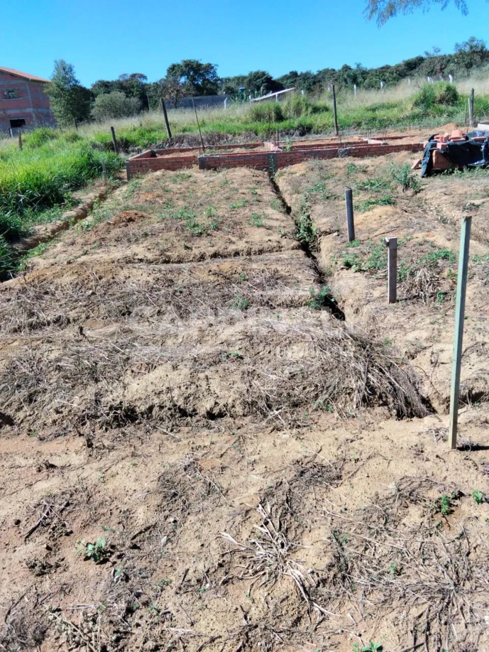 Terreno Padrão em Ibaté - Foto 4